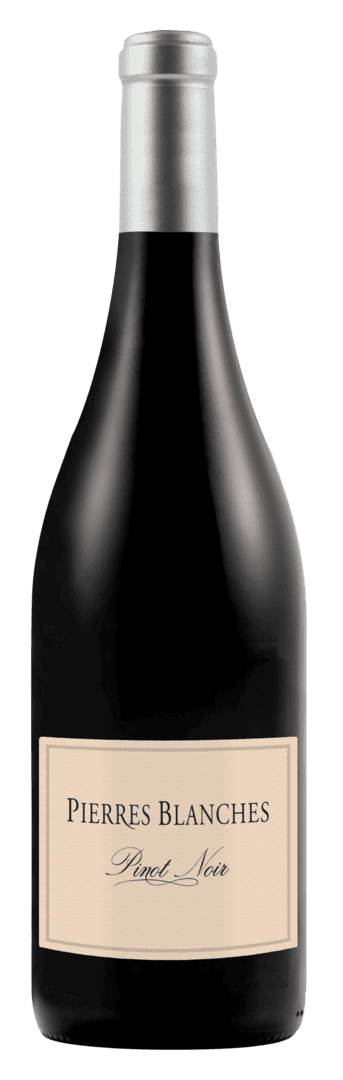 igp pays d'oc pinot noir monocépages pierres blanches