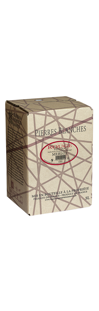 BIB Cubi Merlot vin rouge carton kraft