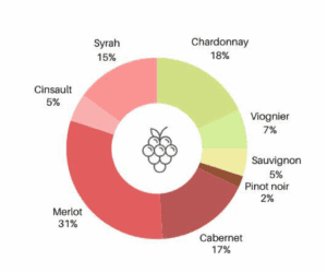 distribution des cepages Pays d'Oc vignerons proprietes associes graphique