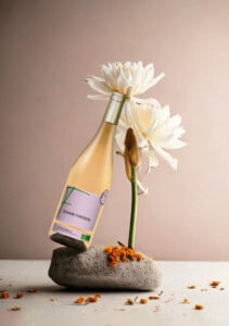 vins biologiques Le Domaine de Fontaron