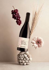 vins biologiques cotes du rhone rouge