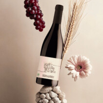 vins biologiques cotes du rhone rouge